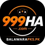 999HA Game